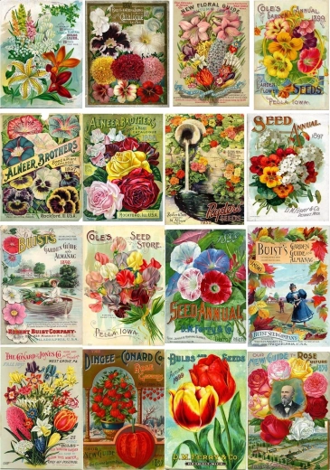 Enjoy puzzle vintage paketki cvetličnih semen 1000 kosov