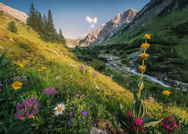 Sestavljanka Čarobno pobočje 1000 kosov