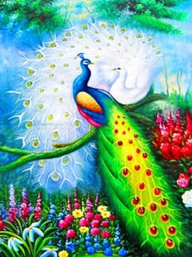 Diamantno slikanje – pavi 30 × 40 cm