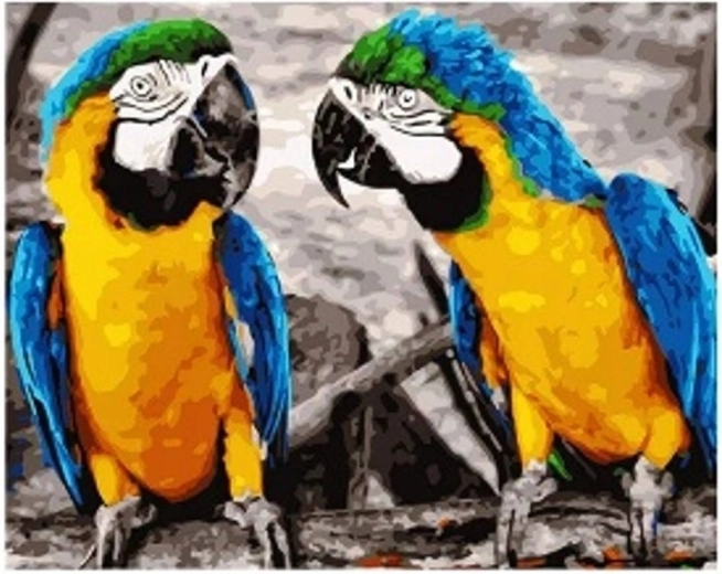 Diamantno slikanje Papige 30 × 40 cm