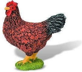 Kokoš