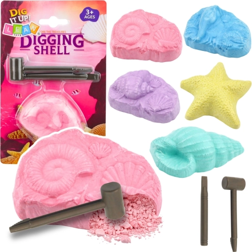 Arheološki komplet morskih fosilov – izkopavalni komplet z školjkami in orodji