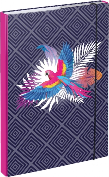 Mape za šolske zvezke A4 Papagaj