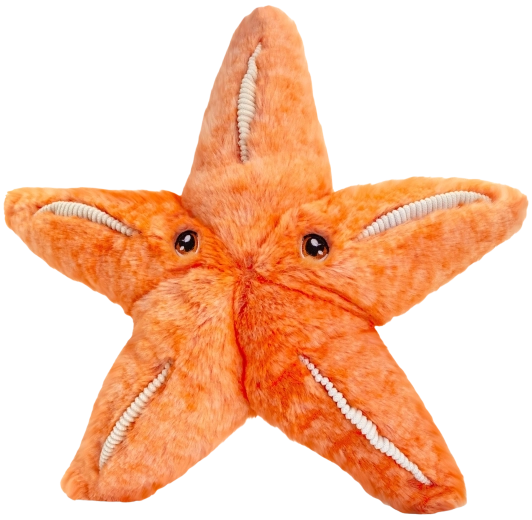 Keeleco plišasta morska zvezda 25 cm