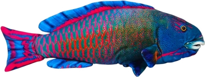 Morska riba – modra plišasta 50 cm