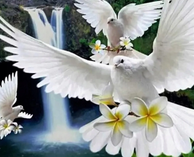 Diamantno slikanje Bele golobice 30 × 40 cm