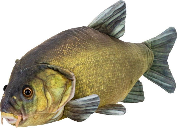 Plush Tench 50 cm