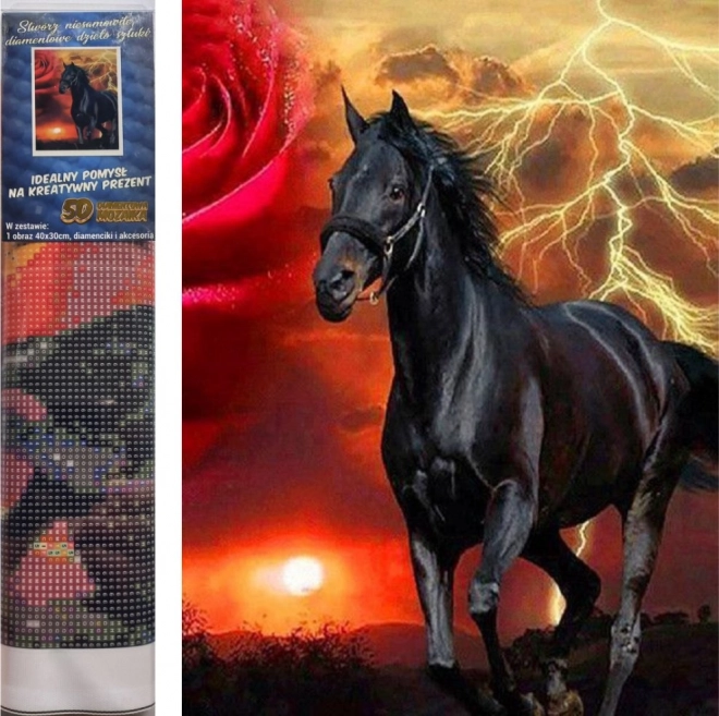 Komplet za diamantno slikanje - črni žrebec