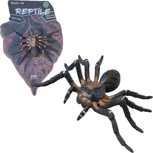 Živa narava: Wolf Spider – realističen model pajka (12 cm)