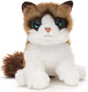 Plišasta mačka Ragdoll 18 cm