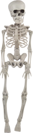 Bež okostnjak 42 cm