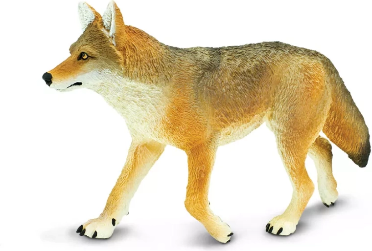 Safari Ltd. figurica kojota - 1 kos
