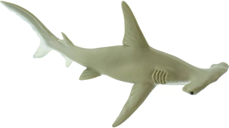Safari Ltd. bronasti kladivoglavec figurica - 1 kos