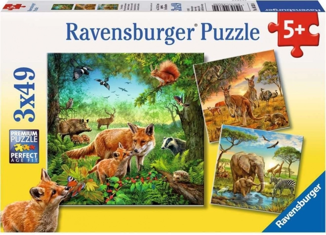 Ravensburger puzzle Živali 3×49 kosov