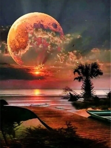 Norimpex slikanje po številkah Luna nad obalo 40 × 50 cm