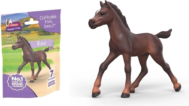 SLH collectible foal Ravi - 1 piece