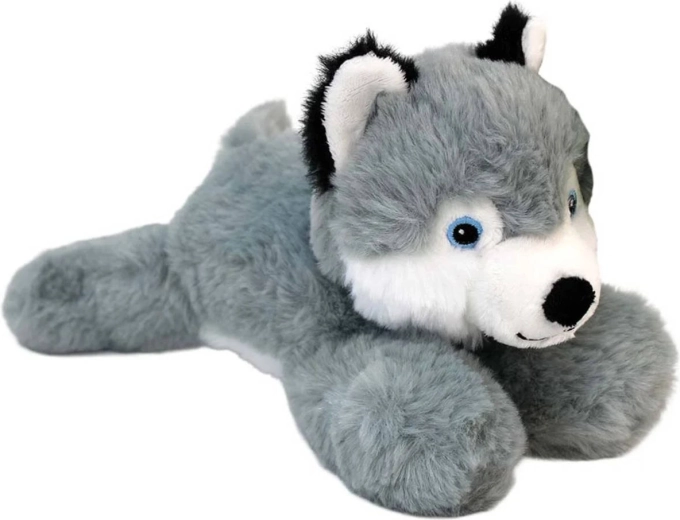 Plišasti kuža Husky - 1 kos