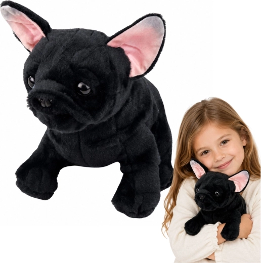 Plush French Bulldog (Black) 22 cm