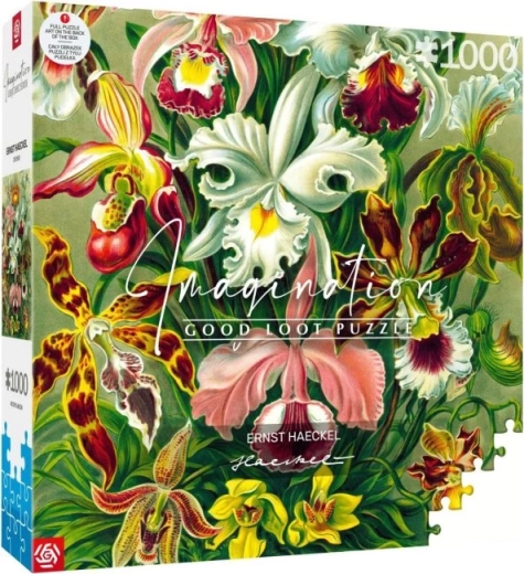 puzzle Imagination: Ernst Haeckel – orhideje, 1000 delcev