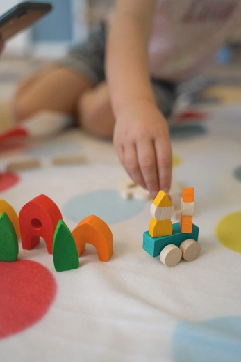 My little village – wooden building set goki Evolution