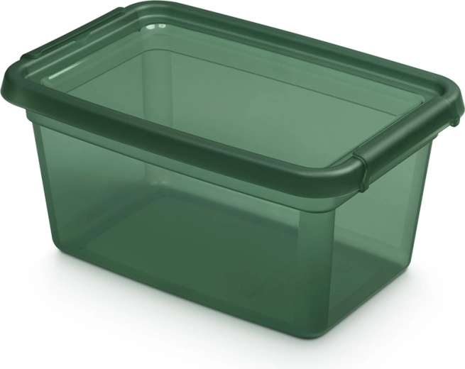 Basestore shranjevalna škatla s pokrovom in sponkami PINE 4,5 l