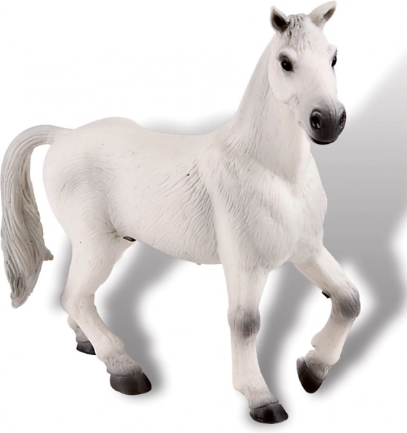 Oldenburški bel valah