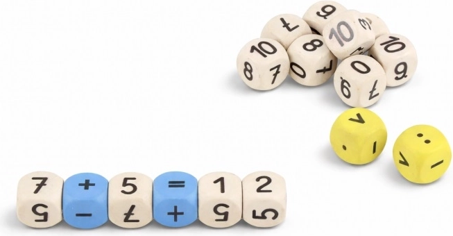 Wissner matematične učne kocke (16 kosov)