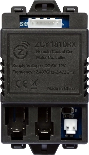 Central unit (module) 2.4 GHz