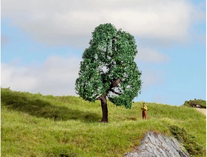 Noch hrast – modelarsko drevo Master Trees 10 cm