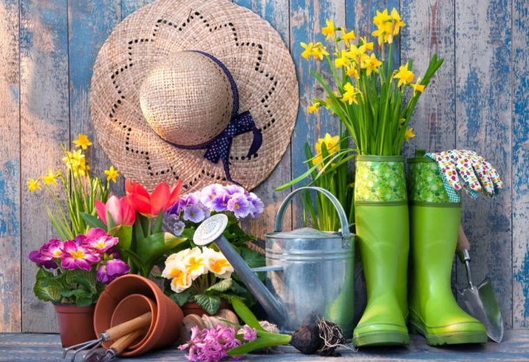 Sestavljanka Pripravljeno na vrtnarjenje 1000 koščkov BLUEBIRD