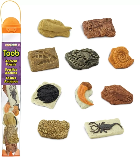 Safari Ltd. Toobs tuba fosilov