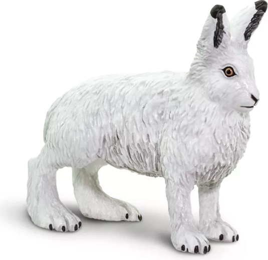 Polarni zajec Safari Ltd. – 1 kos