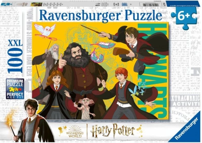 Harry Potter: mladi čarovnik puzzle 100 kosov