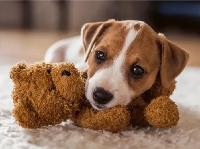 Ravensburger puzzle Topel objem 500 kosov