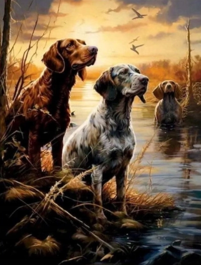 Slikanje po številkah Psi v močvirjih 40 × 50 cm NORIMPEX