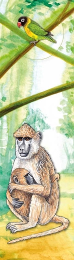 Akim 3D bookmark safari baboon 21 cm - 1 piece