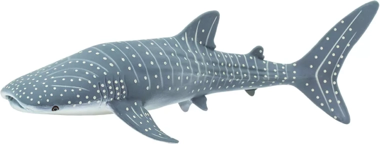 Safari Ltd. Whale shark figure - 1 piece