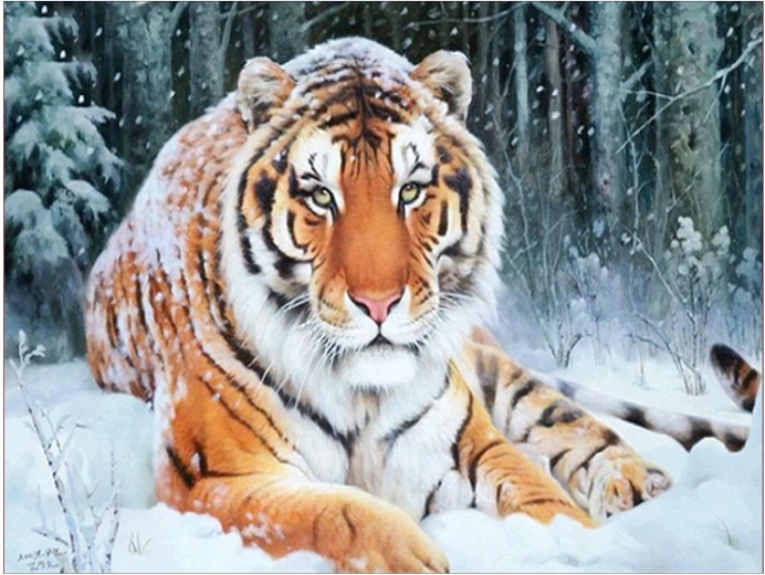 Diamantno slikanje Tiger leži v snegu 30 × 40 cm