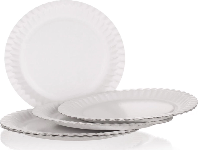 Papirnati krožniki MY PARTY 23 cm (12 kos)