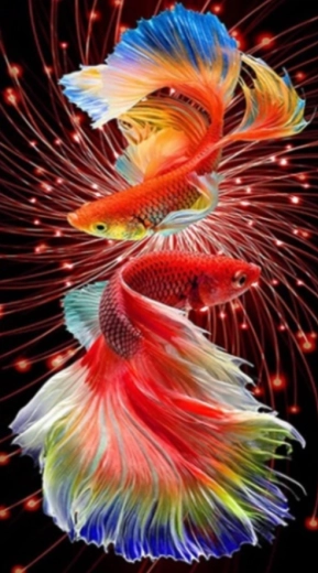 Diamantno slikanje Rdeče ribice 30 × 40 cm