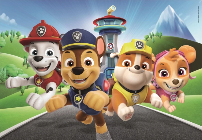 Sestavljanka 60 koščkov PAW Patrol Super Color