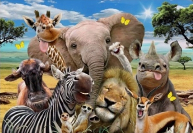 Norimpex slikanje po številkah Safari 40 × 50 cm