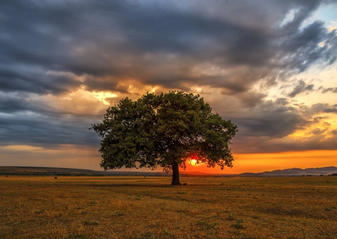 Sestavljanka Somrak 1000 kosov ENJOY