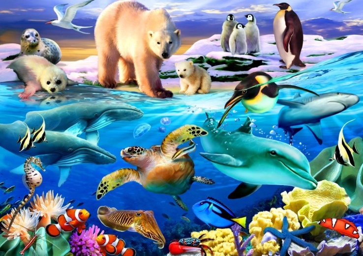 Puzzle Bluebird Ocean življenja 1000 kosov