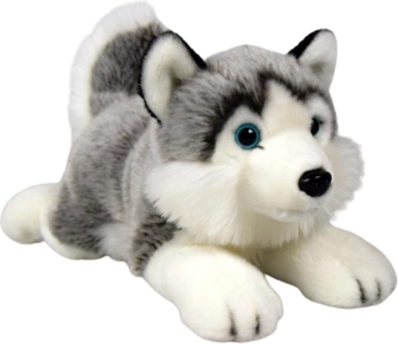 Plišasti pes husky Dubi 27 cm