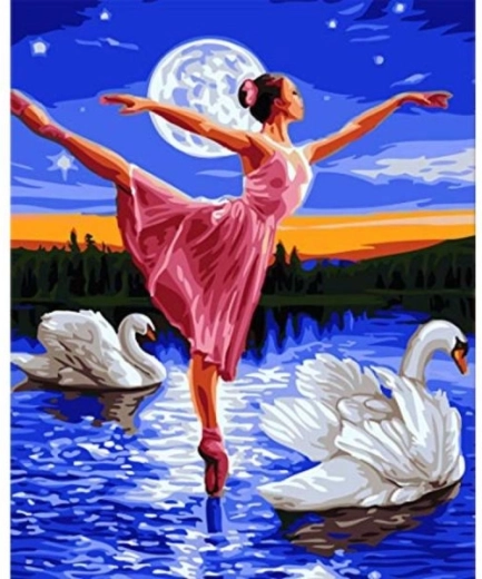 Slikanje po številkah na okvirju 40 × 50 cm – Labodje jezero