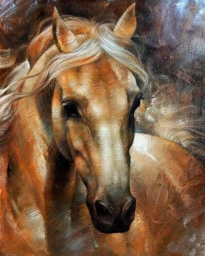 Norimpex slikanje po številkah portret konja 40 × 50 cm