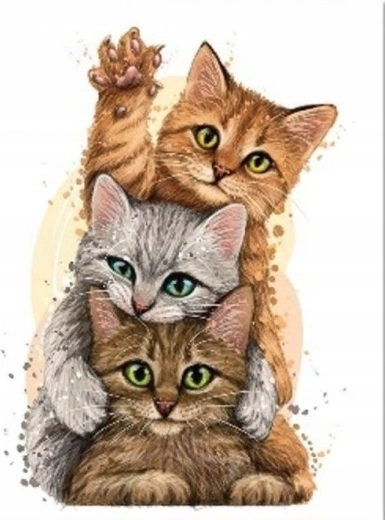 Diamantno slikanje Mačja piramida 30 × 40 cm