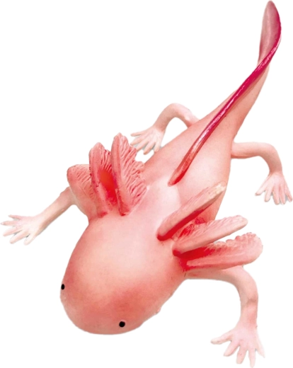 Gumijasti aksolotl 19 cm