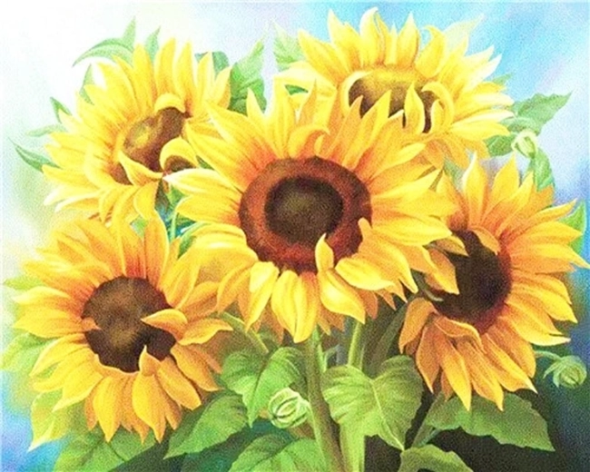NORIMPEX Malovanje po številkah Šopek sončnic 40 × 50 cm